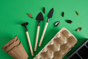 Similar image 21112074