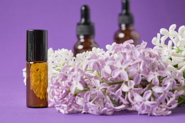 Similar image 21101803