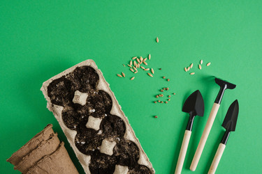 Similar image 21109845