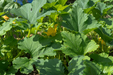 Similar image 21116588