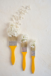 Similar image 21111606