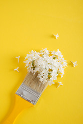 Similar image 21111680