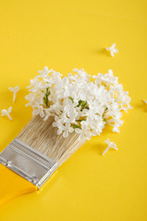 Similar image 21112106