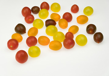 Similar image 21113513