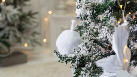 Similar image 21116625