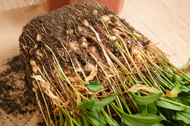 Similar image 21111001