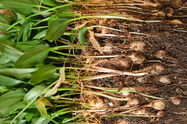 Similar image 21111003