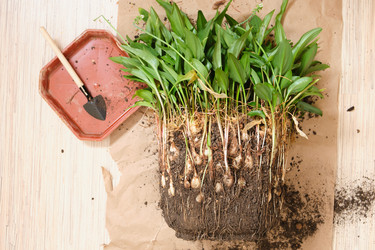 Similar image 21111005