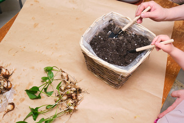 Similar image 21111010