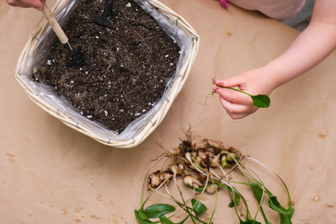 Similar image 21111012