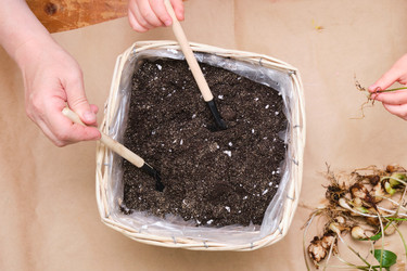 Similar image 21111013