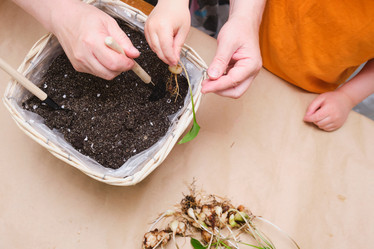 Similar image 21111015