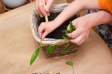 Similar image 21111018