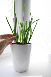 Similar image 21082936