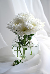 Similar image 21082940