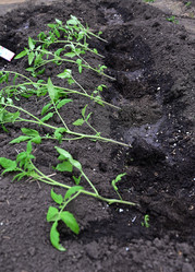 Similar image 21082941