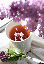 Similar image 21082943