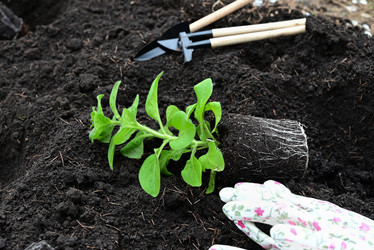 Similar image 21082946