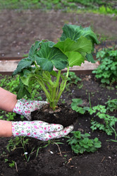 Similar image 21082948