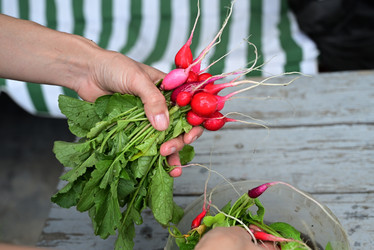 Similar image 21082949