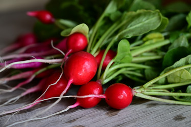 Similar image 21082950