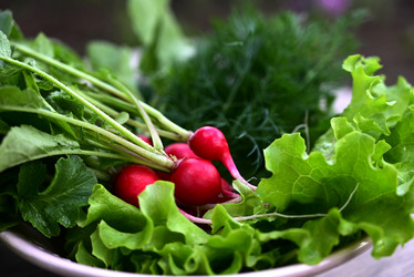 Similar image 21082951