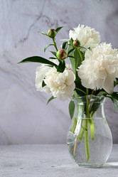 Similar image 21082957