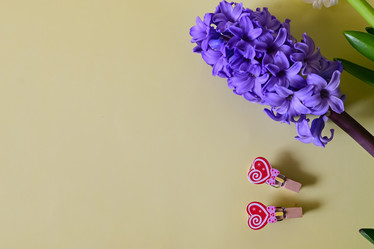 Similar image 21083058