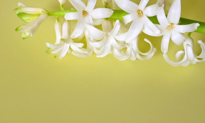 Similar image 21083059