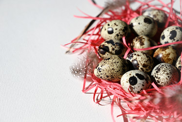 Similar image 21084412