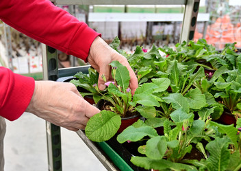 Similar image 21084415