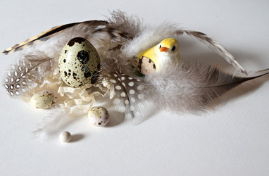 Similar image 21084419