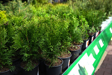 Similar image 21084423