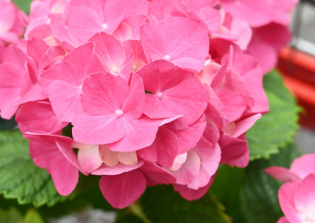 Similar image 21084426