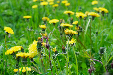 Similar image 21109818