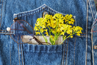 Similar image 21110118