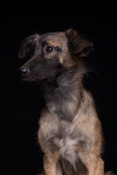 Similar image 21113635