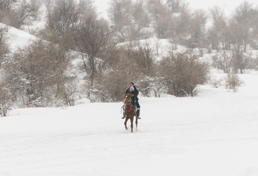 Similar image 21116647