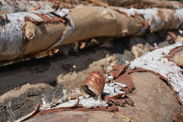 Similar image 21110125