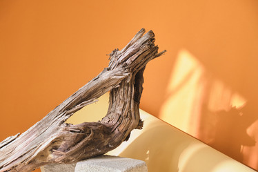 Similar image 21110138