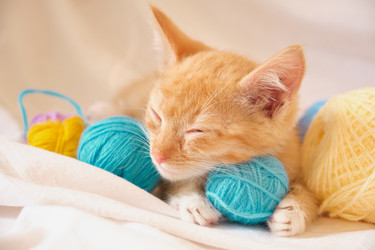 Similar image 21110143