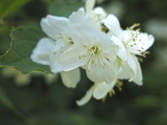 Similar image 21080998