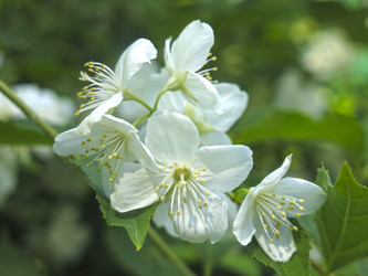 Similar image 21080999