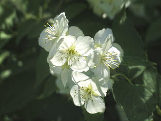 Similar image 21081000