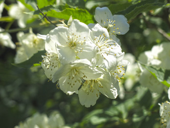 Similar image 21081001