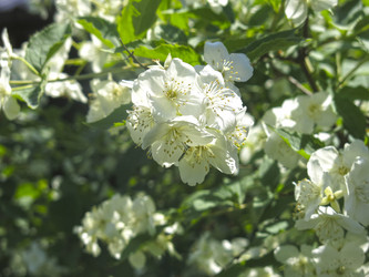 Similar image 21081002