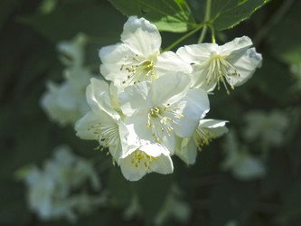 Similar image 21081003