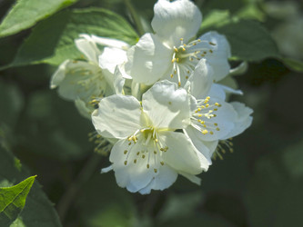 Similar image 21081004