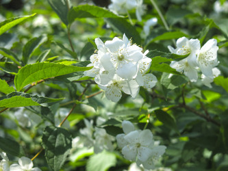 Similar image 21081006