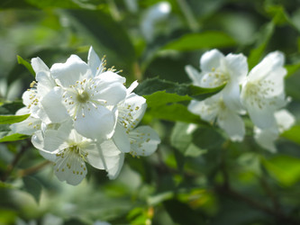 Similar image 21081007